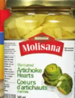 Metro MOLISANA, AURORA OR UNICO MARINADES offer