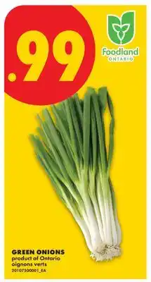 No Frills GREEN ONIONS offer