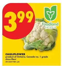No Frills CAULIFLOWER offer