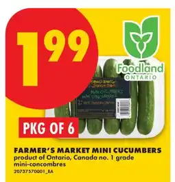 No Frills FARMER'S MARKET MINI CUCUMBERS, PKG OF 6 offer