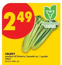 No Frills CELERY offer