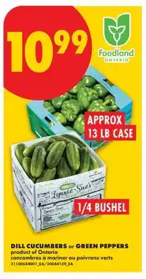 No Frills DILL CUCUMBERS, 1/4 BUSHEL OR GREEN PEPPERS, APPROX 13 LB CASE offer