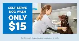 Petvalu SELF-SERVE DOG WASH offer