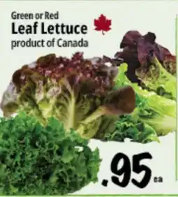Farm Boy Green or Red Leaf Lettuce offer