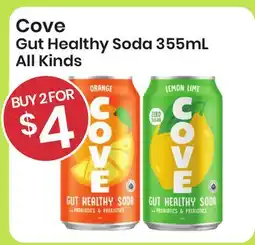 Healthy Planet Cove Gut Healthy Soda 355ML All Kinds offer