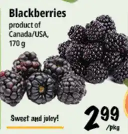 Farm Boy Blackberries offer