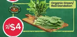 Healthy Planet Organic Green/ Red Dandelion offer