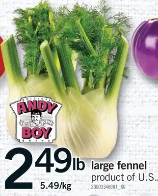 Fortinos LARGE FENNEL offer