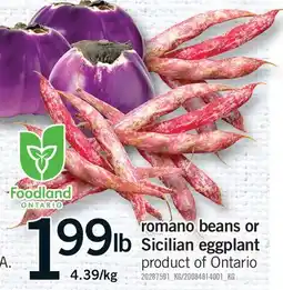 Fortinos ROMANO BEANS OR SICILIAN EGGPLANT offer