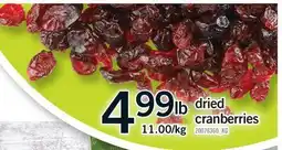 Fortinos DRIED CRANBERRIES offer