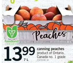 Fortinos CANNING PEACHES offer