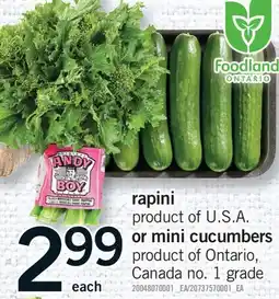 Fortinos RAPINI OR MINI CUCUMBERS offer