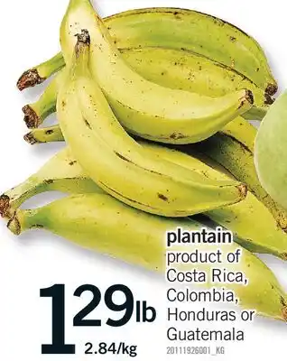 Fortinos PLANTAIN offer
