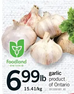Fortinos GARLIC offer