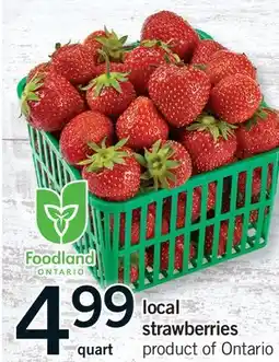 Fortinos LOCAL STRAWBERRIES, QUART offer