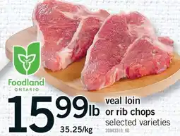 Fortinos VEAL LOIN OR RIB CHOPS offer