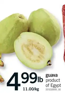 Fortinos GUAVA offer