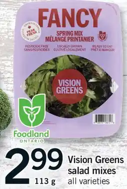 Fortinos VISION GREENS SALAD MIXES offer
