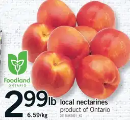 Fortinos LOCAL NECTARINES offer