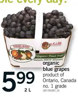 Fortinos ORGANIC BLUE GRAPES offer