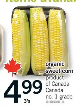 Fortinos ORGANIC SWEET CORN, 3'S offer