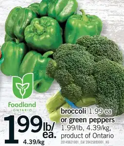 Fortinos BROCCOLI OR GREEN PEPPERS offer