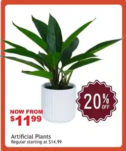 Oxford Mills Artificial Plants offer