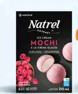 Walmart Natrel raspberry ice cream mochi offer