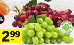 Foodland Extra Large Green or Red Seedless Grapes offer