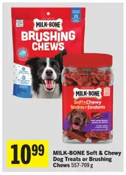 Foodland Soft & Chewy Dog Treats or Brushing Chews offer