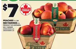 Loblaws PEACHES, 3L OR NECTARINES, 2L offer