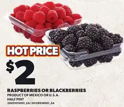 Loblaws RASPBERRIES OR BLACKBERRIES offer