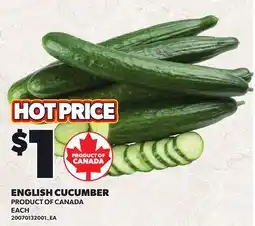 Loblaws ENGLISH CUCUMBER, EACH offer