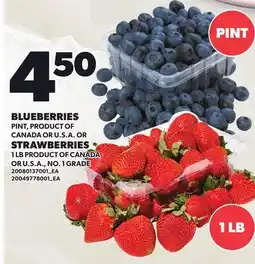 Loblaws BLUEBERRIES, PINT OR STRAWBERRIES, 1 LB offer