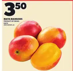 Loblaws MAYA MANGOES offer