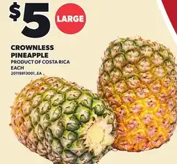Loblaws CROWNLESS PINEAPPLE offer