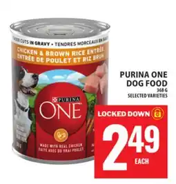 Food Basics PURINA ONE DOG FOOD offer