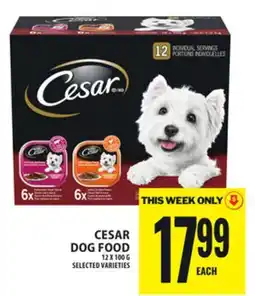 Food Basics CESAR DOG FOOD offer