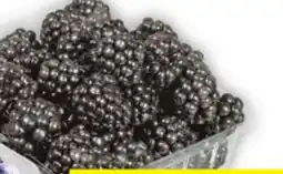 Food Basics BLUEBERRIES OR RASPBERRIES OR BLACKBERRIES offer