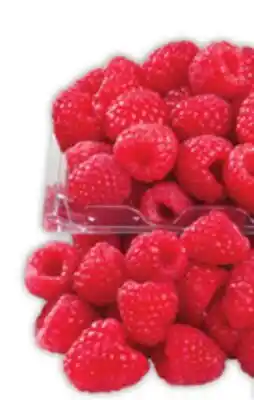 Food Basics BLUEBERRIES offer