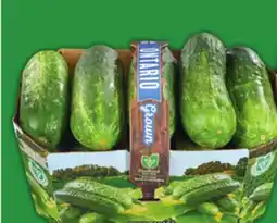 Food Basics FRESH DILL PICKLING CUKES OR POTATOES offer