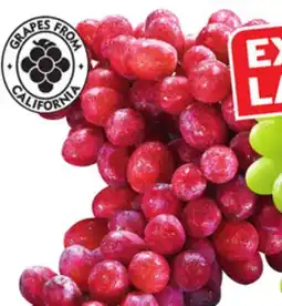 Food Basics GREEN OR RED SEEDLESS GRAPES offer