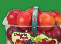 Food Basics BLUE PLUMS OR NECTARINES OR BLUE GRAPES offer