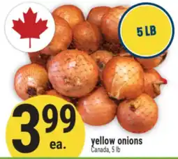 Marché Adonis Yellow onions offer