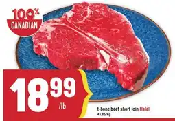 Marché Adonis t-bone beef short loin Halal offer