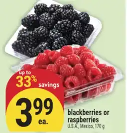 Marché Adonis Blackberries or raspberries offer