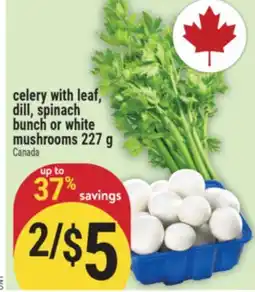 Marché Adonis celery with leaf, dill, spinach bunch or white mushrooms offer