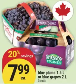Marché Adonis blue plums 1.5 L or blue grapes 2 L offer
