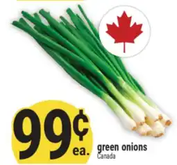 Marché Adonis Green onions offer