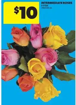 Real Canadian Superstore INTERMEDIATE ROSES, 9 STEM offer